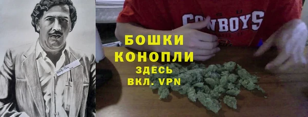 крисы Арсеньев