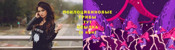 крисы Арсеньев