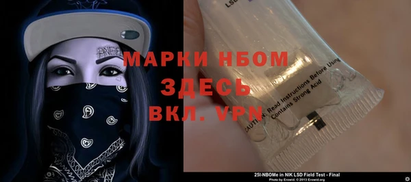 гидра Аркадак