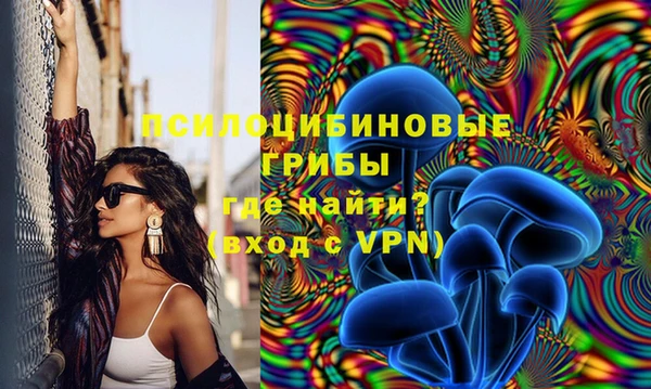гидра Аркадак