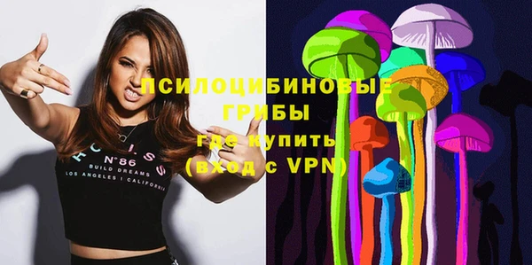 винт Армянск