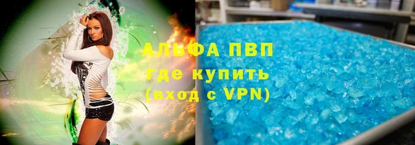 гидра Аркадак