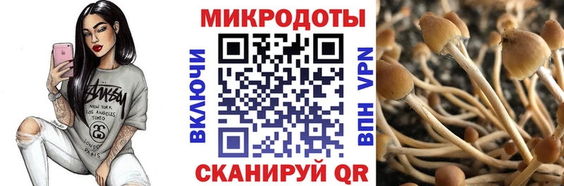 Галлюциногенные грибы прущие грибы Пугачёв
